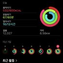 11650-7-12-3 | [3달차] 마운자로 2.5mg 2주 7일차 후기 :: 3월 12일 목요일 :: 부산 광안리 2일차 :: 동면식밀면...