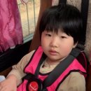 JC태권도장 이미지