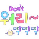 몰리케이크