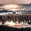 구룡포대게과메기해산물 이미지