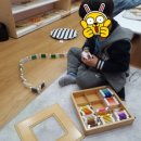 스콜라몬테소리 이미지