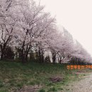 꿈동산신안공인중개사사무소 이미지