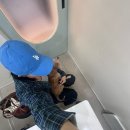 가나동물병원 | [광주/동물 병원] 본동물병원강아지 이개혈종 발견과 치료 후기!