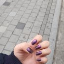 세네일 이미지