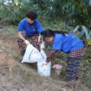 대훈농장 이미지