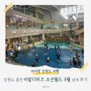 다와푸드 | 소노벨 비발디파크에서 오션월드 후기!✨3월 실내 파도풀 & 구명조끼 반값 렌탈 꿀팁