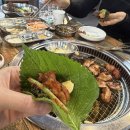 가평 숯불닭갈비 맛집-아침고요수목원 근처 온정리 닭갈비 금강막국수 본점 내 돈 내산 솔직후기