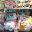 효성공원 | 안양 숨은 꽃 명소 하루만 열리는 효성 안양공장 진달래축제 애견동반 후기