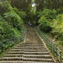 탄금공원 이미지