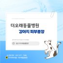 더오래 동물병원 | [일산동 더오래동물병원] 지속적으로 핥던 발등 피부종괴, 표피과오종으로 확인된 비숑 케이스