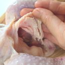 슬로우레시피 | NUC 슬로우 쿠커, 간편하게 만드는 복날 보양식 삼계탕 레시피
