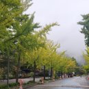(주)용문여행 네이버블로그