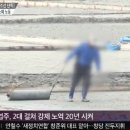 통영충무김밥 이미지