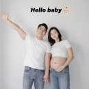 비비펠리스