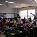 양강초교 이미지