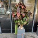 번창한의원 이미지