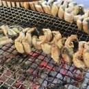 장어시대 이미지