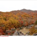 삼성궁 이미지