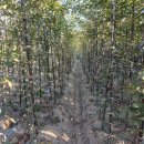 초입농장 이미지