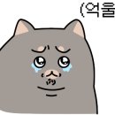 서면 식자재마트 이미지
