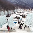 칠갑산축산 - 서구 도마4길 66 | 칠갑산축산