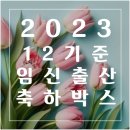 내가 신청하려고 정리한 임신축하박스 받는 곳 (2023.12.기준)