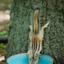 경주시립도서관 화장실 이미지