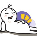트레이더스홀세일클럽인천송림점 이미지