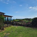 판포바람 이미지