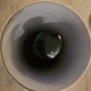 광진 뚝섬로32길 | [블랙서클 위스키]26년 상반기 핫한 신동엽 위스키_내돈내산~맛평~!!