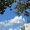 이마트24작전동보점 | 2025년 5회 대구 떡볶이페스티벌 (꿀팁 주차 추천 비추천)