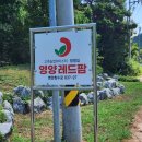 영양레드팜 이미지