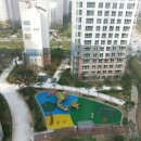 수원-0941 이미지