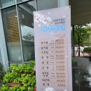 성모자애원메주동네 이미지