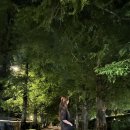 담양 산토리니 펜션 4동 이미지