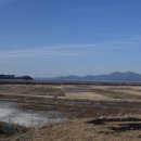 마정3리 | [인천일보] [김석훈의 보물섬] 북도면 신도목장에 적용된 조선의 말정책(2023. 4. 18.)