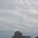 금호 해안가공원 이미지