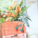 홍시 | [감미인]아이스 홍시 내돈내산 솔직후기/디저트추천