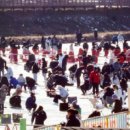 평창송어 이미지