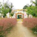 수수파크