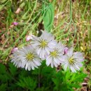 파주스타디움 이미지