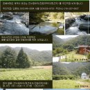 [성우리조트 근처 연수원부지/펜션및 전원주택부지 11,071평 ]현금+강남권 부동산(아파트/상가)등과 교환도 가능합니다. 이미지