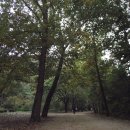 서울대학교 농업생명과학대학 이미지