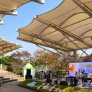 생활수묵화와 우드버닝 이미지