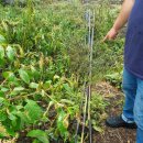 그늘막60 이미지