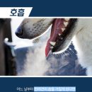 한강동물병원 이미지