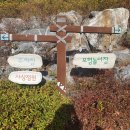 사상근린공원
생태주차장 이미지