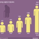 실버케어푸드