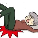 토마토의료기 이미지