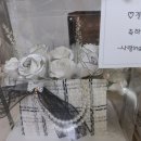 동물원꽃집